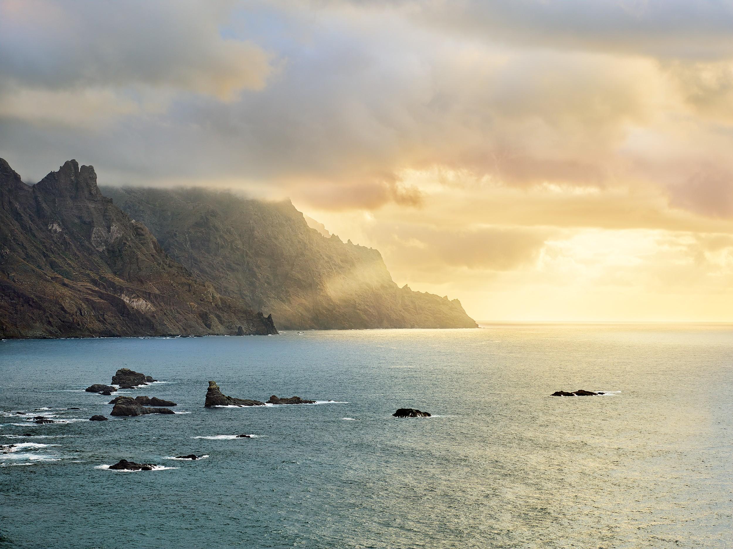 Edge-to-edge Naturmotiv über die volle Breite eines Innenraums
